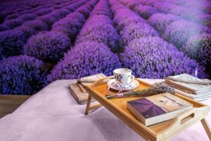 Uroczy, komfortowy apartament dla 6 osób - Szklarska Poręba