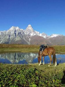Guest House Waterfall