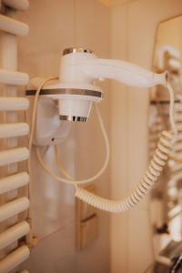 KrokusChata pod Sokolicą