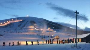 "Arctic Inn", Homestay with Friendly Hosts, Northern Light Trips and Car Rental Available