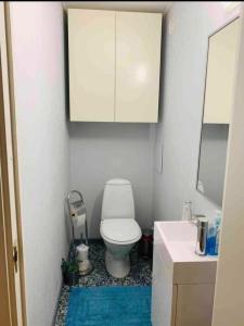 "Arctic Inn", Homestay with Friendly Hosts, Northern Light Trips and Car Rental Available