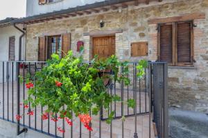 Casa di campagna, Assisi