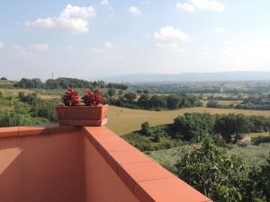 Casa di campagna, Assisi