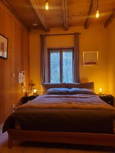 Villas Grande maison savoyarde ensoleillee : photos des chambres