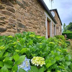 PORTA ESPERANZA - Taboy