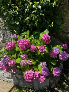 Studio Apartment Rijeka Zamet 500m from Sea with free Parking and near to Center Zamet