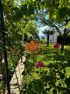 Studio Apartment Rijeka Zamet 500m from Sea with free Parking and near to Center Zamet