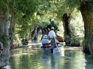 Villas Villa Taru Marais Poitevin : photos des chambres