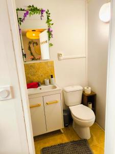 Appartements Le King & Suites etoilees : photos des chambres