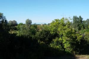 Alloggio a Sant Erasmo Venezia