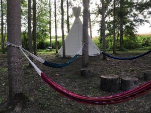 Tentes de luxe Au Chat qui Peche : photos des chambres