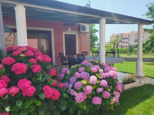 Apartments Dragica 