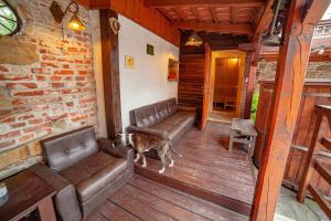 Apartamenty przy górskich rzekach