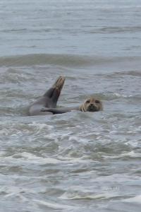 Appartements Isa mer : photos des chambres