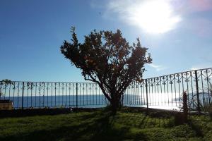 Casa Vacanze Casa Barbara