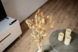 LeHaStays - Apartment Linkel