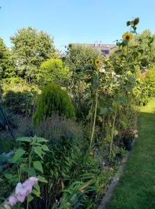 NolteLuxus Hotel - 马尔斯贝格