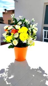 Stellina in centro Sweet Apartaments