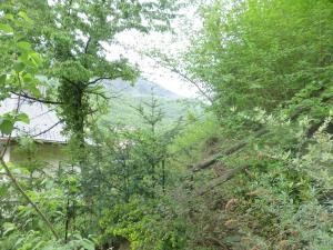 Appartements Studio cosy proche telecabine et thermes, balcon ombrage, wifi inclus, animaux acceptes - FR-1-512-125 : photos des chambres