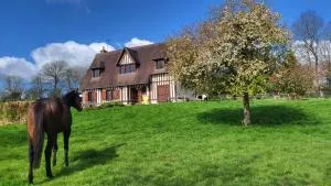 Relais équestre du Miloir - chambres d'hôtes - Le Mesnil-Simon