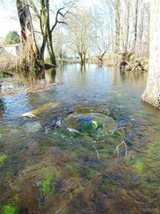 Maisons de vacances Ancient priory farmhouse with pool, jacuzzi and lakes : photos des chambres