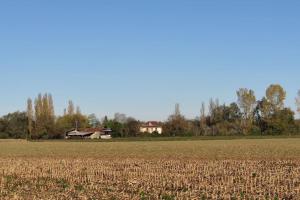 Maisons de vacances Ancient priory farmhouse with pool, jacuzzi and lakes : photos des chambres