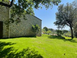 Villas La Canopee du Loup : photos des chambres