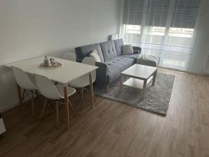 Appartement spacieux et calme 20 min Champs Élysée