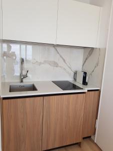 73 CORNE D OR - Duplex plein SUD, VUE MER, BALCON