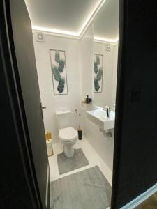 87m2 Blok24 Arena Business