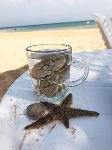 3BRs Beachside with Penthouse and stunning Seaview l EINBAY