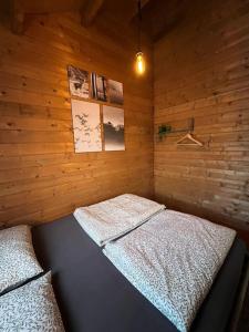 Cozy chalet with garden and jacuzzi near Amsterdam