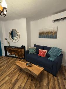 Blue House Citadel Elite Sighisoara