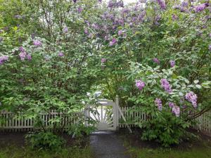 Ihana rivitalohuoneisto tarjolla