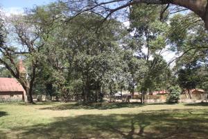Kilimani gardens hostel