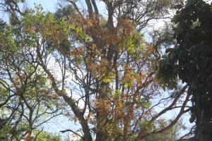 Kilimani gardens hostel