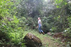 Kilimani gardens hostel