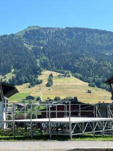 Appartements Praz sur Arly - proche des pistes et de Megeve : photos des chambres