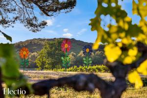 Appart'hotels Bastide Domaine Tour Campanets : photos des chambres