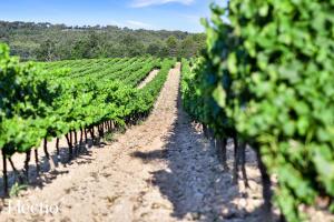 Appart'hotels Bastide Domaine Tour Campanets : photos des chambres