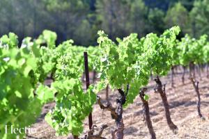 Appart'hotels Bastide Domaine Tour Campanets : photos des chambres