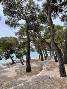 Mobile Home Lena - Biograd