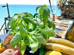 Il Poggetto piano terra, 4 camere, vista mozzafiato, a soli 200 m dal mare! by Alfareal