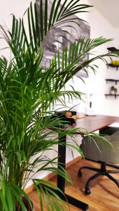 Apartment Stadtliebe Marburg PS4