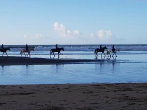 Maisons de vacances maison brevinoise : photos des chambres