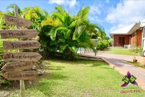 Piscine, Plages Bois Jolan et du bourg, Jardin & Parking privés, Sainte-Anne - Villas Orchyd & Ka - 圣安尼