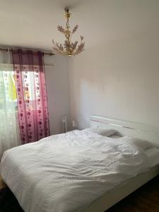 Appartement en face de la gare de St-Louis