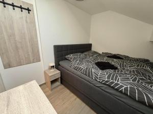 City Apartment Holgi