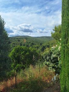 Villas Villa Romarin : Villa