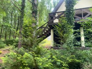 Domek Sosnowe Wzgórze Wiktorowo